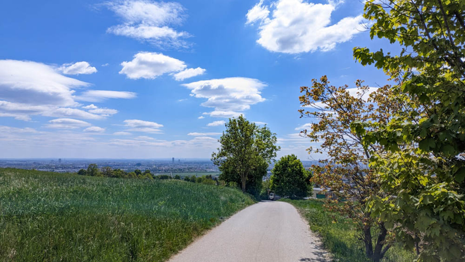 Aussicht