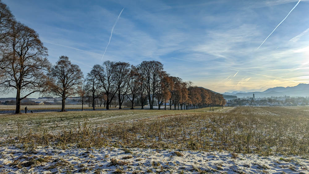 Hier geht es zur Galerie