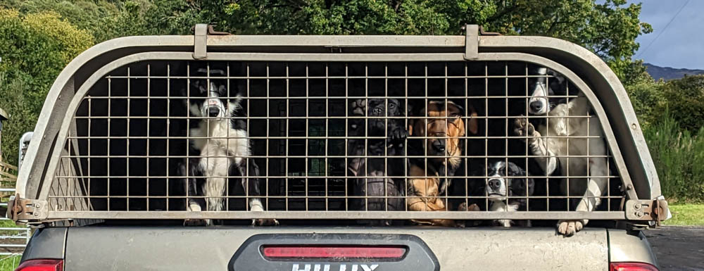 Hier geht es zur Galerie